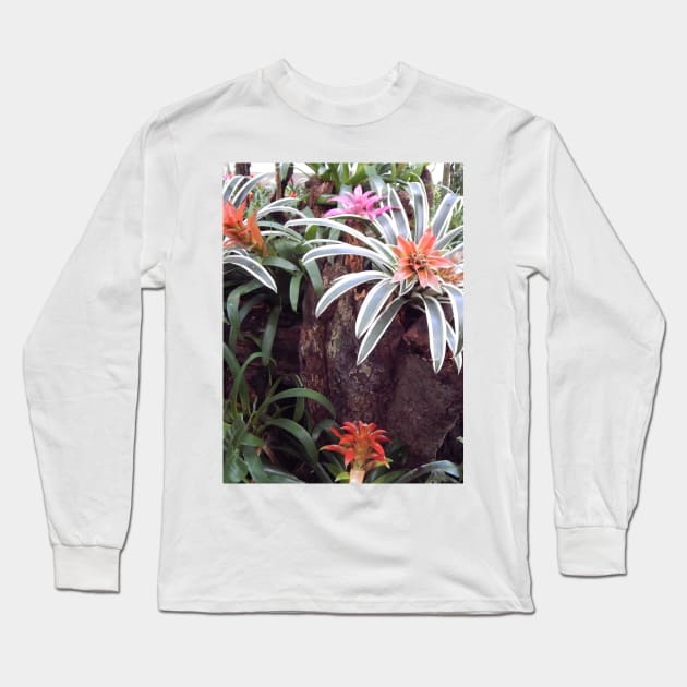 Bromeliads in Brazil Long Sleeve T-Shirt by Juliana Costa